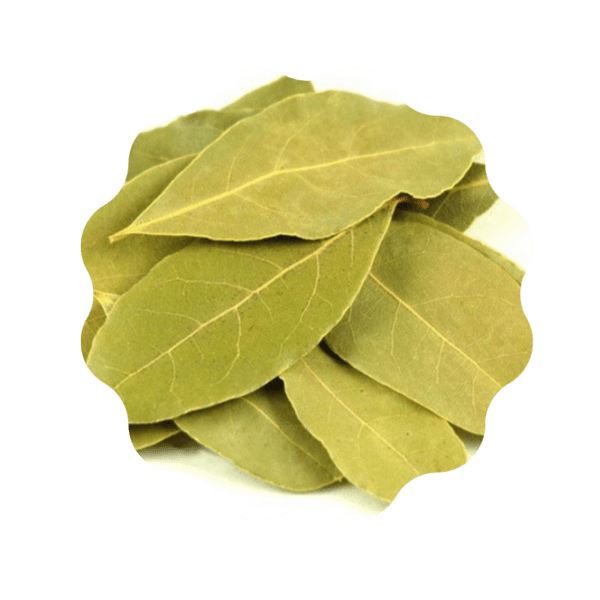 Bay Leaf